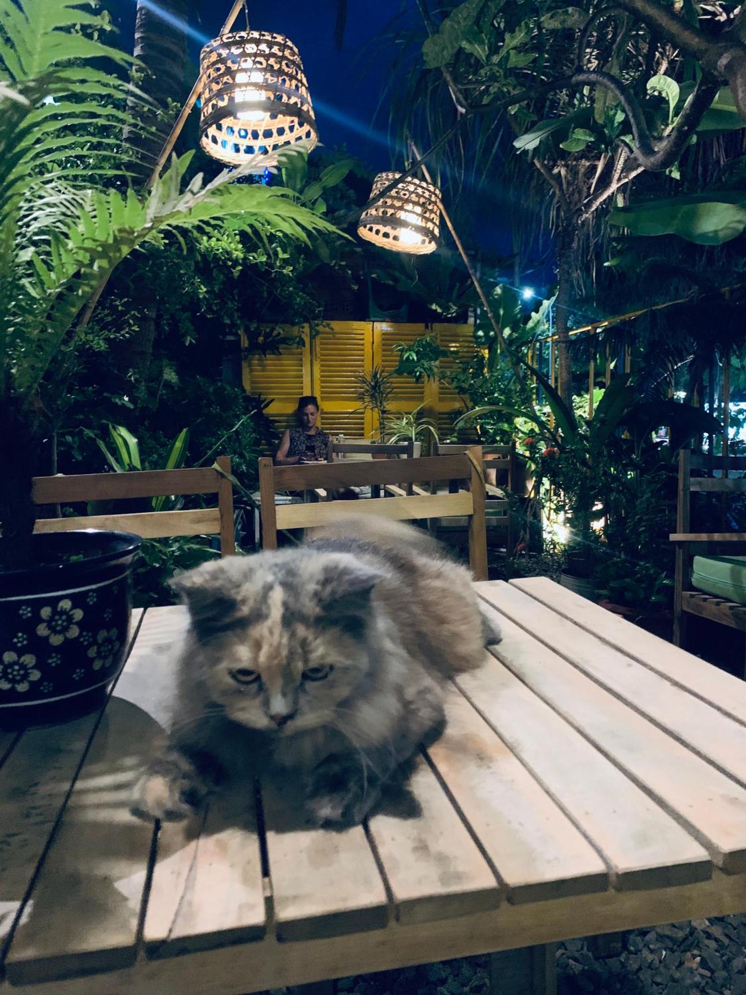 Uyen'S House Ξενοδοχείο Chi Khu Co Ong Εξωτερικό φωτογραφία