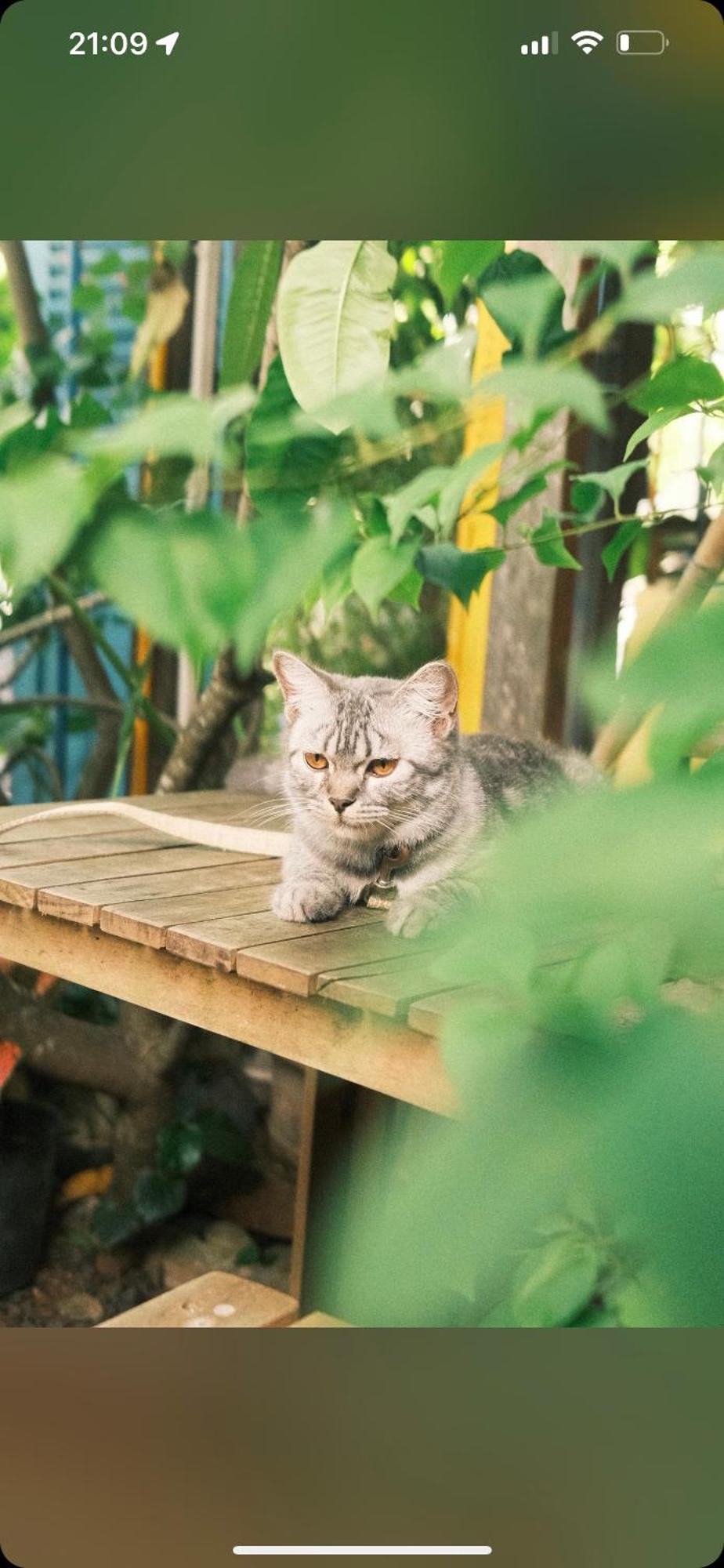 Uyen'S House Ξενοδοχείο Chi Khu Co Ong Εξωτερικό φωτογραφία
